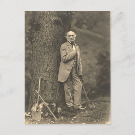 PM William Gladstone Postkarte (Vorderseite)