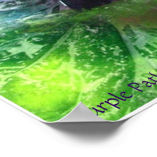 PMACarlson Lila Pathway Poster (Ecke)