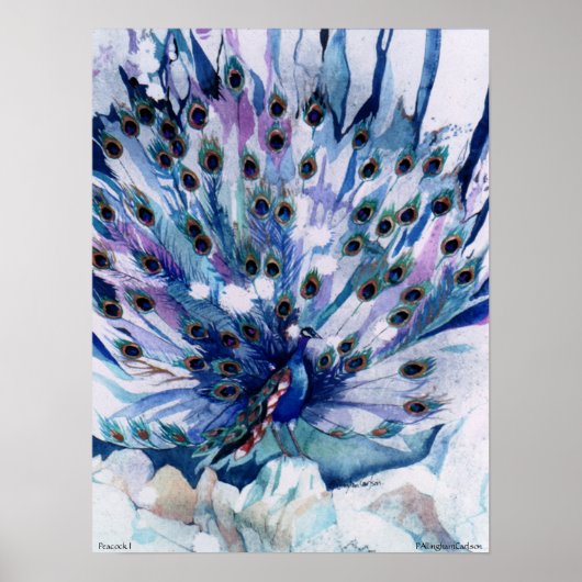 PMACarlson Peacock I Poster (Vorne)