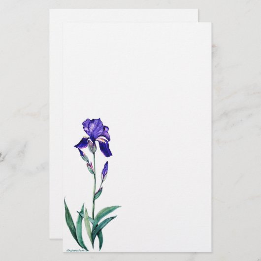 PMACarlsonElegant Iris Staionary Briefpapier (Vorne/Hinten)