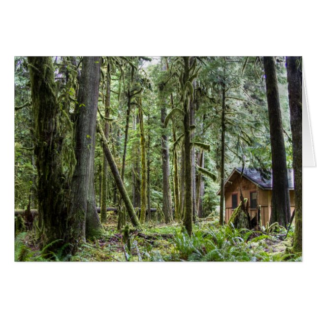 PNW Cabin (Vorderseite (Horizontal))