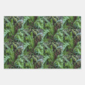 PNW-Farne Geschenkpapier Set (Vorderseite 2)