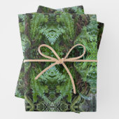 PNW-Farne Geschenkpapier Set (Beispiel)