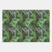 PNW-Farne Geschenkpapier Set (Vorderseite 3)