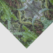 PNW-Farne Seidenpapier (Detail)