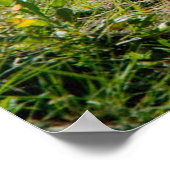 Poaster Poster (Ecke)