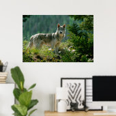 Poaster Poster (Heimbüro)