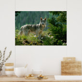 Poaster Poster (Küche)