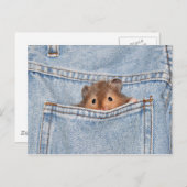 Pocket-Begleiter Postkarte (Vorne/Hinten)