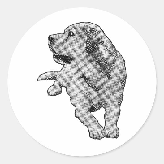 Pocket Daydream, Retriever Runder Aufkleber (Vorderseite)