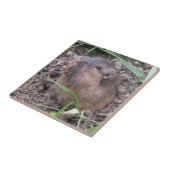 Pocket Gopher Fliese (Seite)