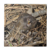 Pocket Gopher Fliese (Vorderseite)
