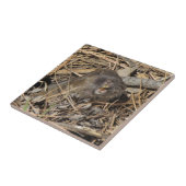 Pocket Gopher Fliese (Seite)