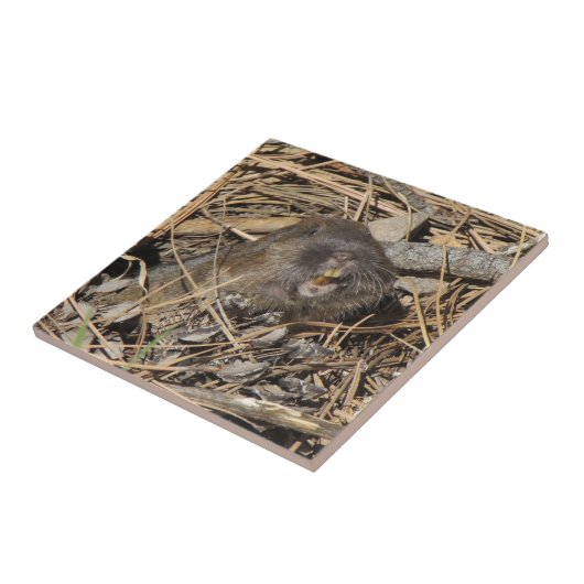 Pocket Gopher Fliese (Seite)