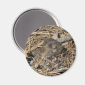 Pocket Gopher Magnet (Vorderseite/Rückseite)
