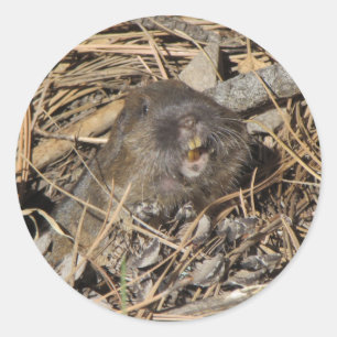 Pocket Gopher Runder Aufkleber