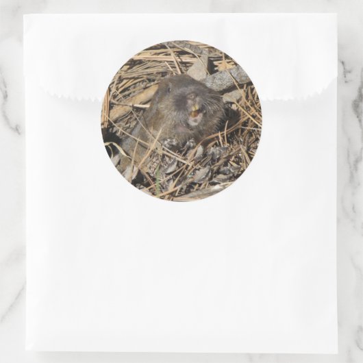 Pocket Gopher Runder Aufkleber (Tasche)