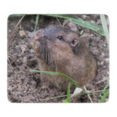 Pocket Gopher Schneidebrett (Vorderseite)
