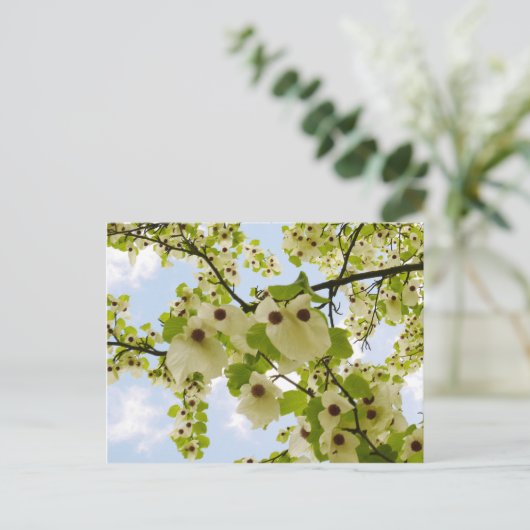 Pocket Handkerchef Tree Blossom Postkarte (Stehend Vorderseite)