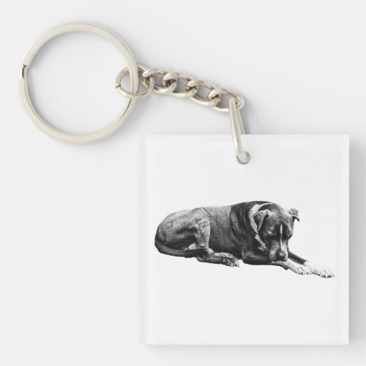 Pocket Lounge Hund Schlüsselanhänger (Vorderseite)