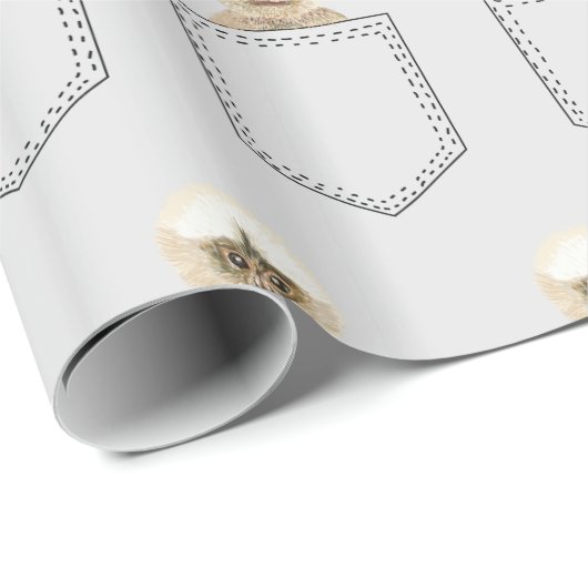 Pocket Monkey Art Geschenkpapier (Rolleneckpunkt)