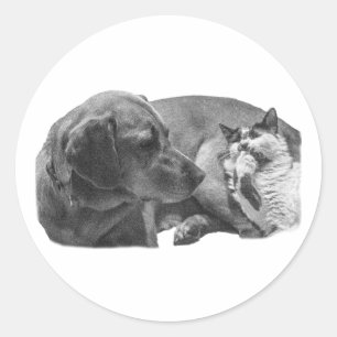 Pocket Pals - Weicher Blick Runder Aufkleber