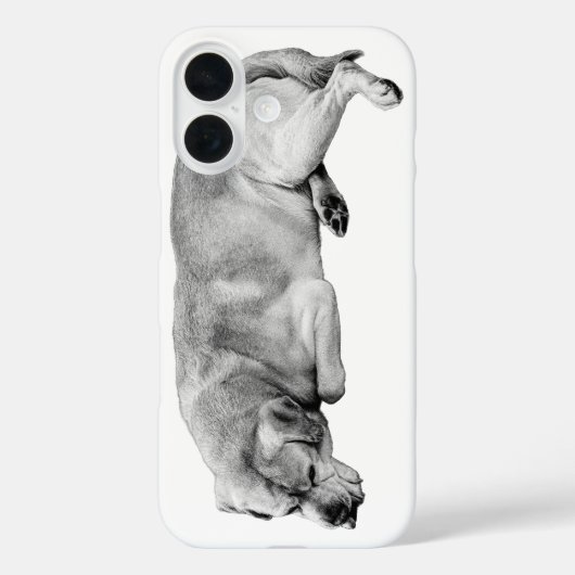 Pocket Pocket Pocket Case-Mate iPhone Hülle (Rückseite)