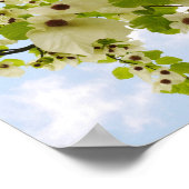 Pocket Taschentuch Tree Blossom Poster (Ecke)