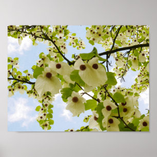 Pocket Taschentuch Tree Blossom Poster