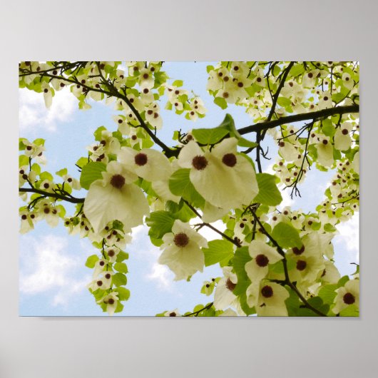 Pocket Taschentuch Tree Blossom Poster (Vorne)