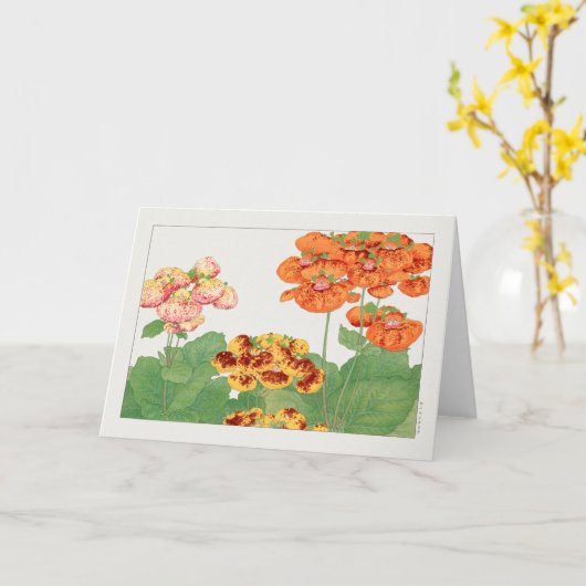 Pocketbook Pflanze von Tanigami Konan Karte (Gelbe Blume)