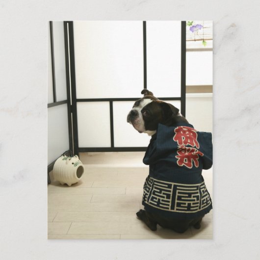 Pocky 棟 梁 Postkarten (Vorderseite)