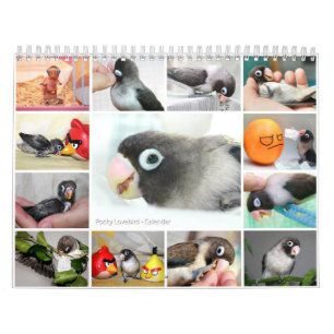Pocky der niedlichste Lovebird Kalender