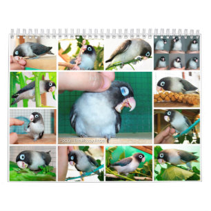Pocky Lovebirdbonbongedächtnis Kalender