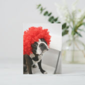 Pocky Postcards Postkarte (Stehend Vorderseite)