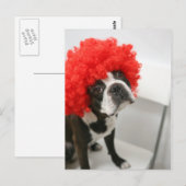 Pocky Postcards Postkarte (Vorne/Hinten)