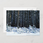 Pocono-Berge. Pennsylvania Postkarte (Vorne/Hinten)