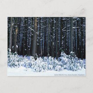 Pocono-Berge. Pennsylvania Postkarte