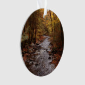 Pocono Strom im Herbst Ornament (Vorderseite)