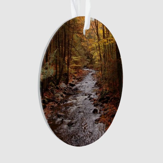 Pocono Strom im Herbst Ornament (Vorderseite)