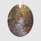 Pocono Strom im Herbst Ornament (Vorderseite)