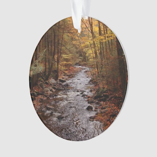 Pocono Strom im Herbst Ornament (Vorderseite)