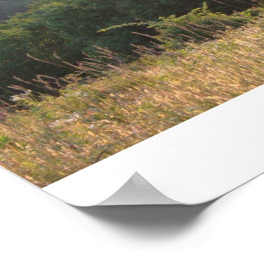 Poconos Poster (Ecke)