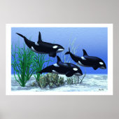 POD DRUCKEN POSTER (Vorne)