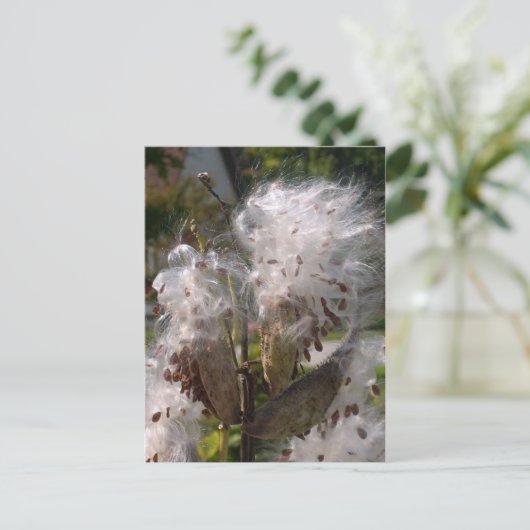 Pod Postkarte (Stehend Vorderseite)