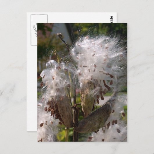 Pod Postkarte (Vorne/Hinten)