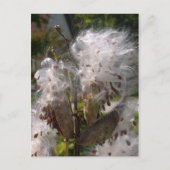 Pod Postkarte (Vorderseite)