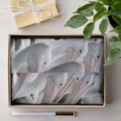 Pod von Pelikanen Seidenpapier (Geschenk)