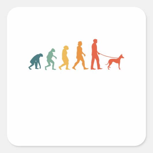Podenco Evolution Retro Ibizan Hound Vintag Quadratischer Aufkleber (Vorderseite)