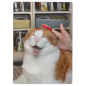 Podgy Scarlet Klemmbrett (Rückseite)